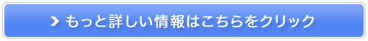 VmЂ̐`[[̔TCg